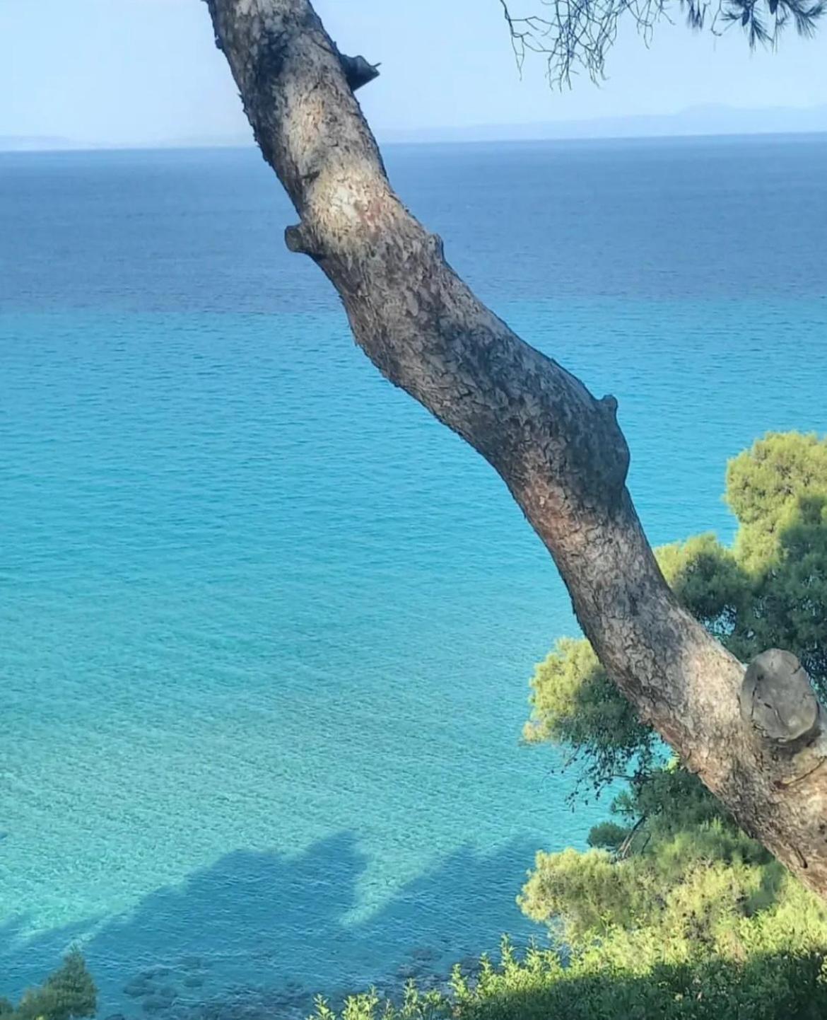 Villa Palma Kallithea  エクステリア 写真